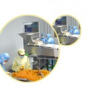 技術賦能未來 引領創新的技術推廣服務企業