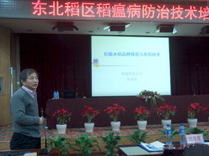 技術推廣服務中心 驅動創新落地的核心引擎